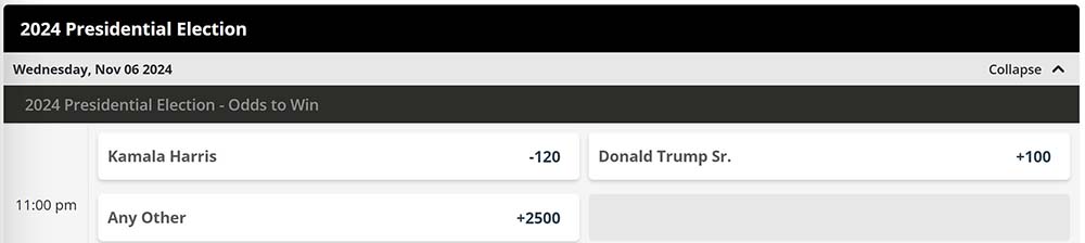 BetOnline Election Odds